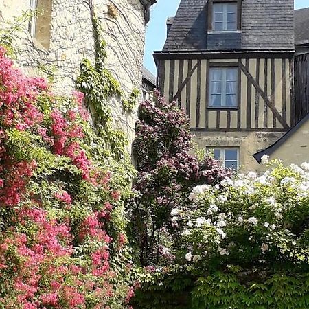 Petite Maison Romantique Au Calme, Coeur Historique Plantagenet, Vue Ville Le Mans Buitenkant foto