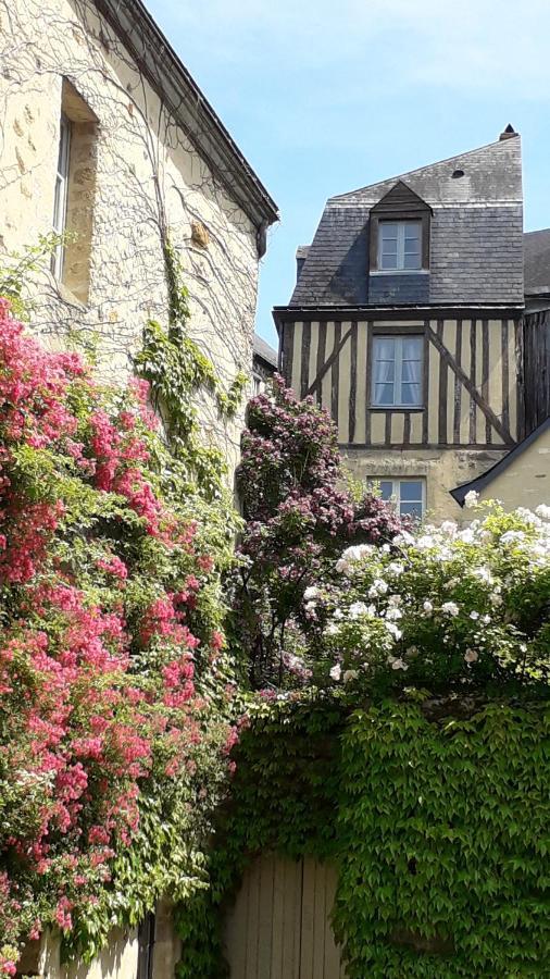 Petite Maison Romantique Au Calme, Coeur Historique Plantagenet, Vue Ville Le Mans Buitenkant foto